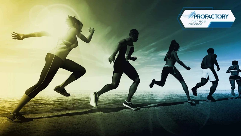 לא רק לשרירים: כך פעילות גופנית מאיצה את קצב חילוף החומרים