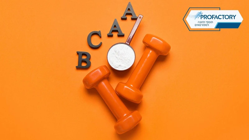 רוב המתאמנים מפספסים את זה: מה שחלבון לבד לא נותן - BCAA משלים