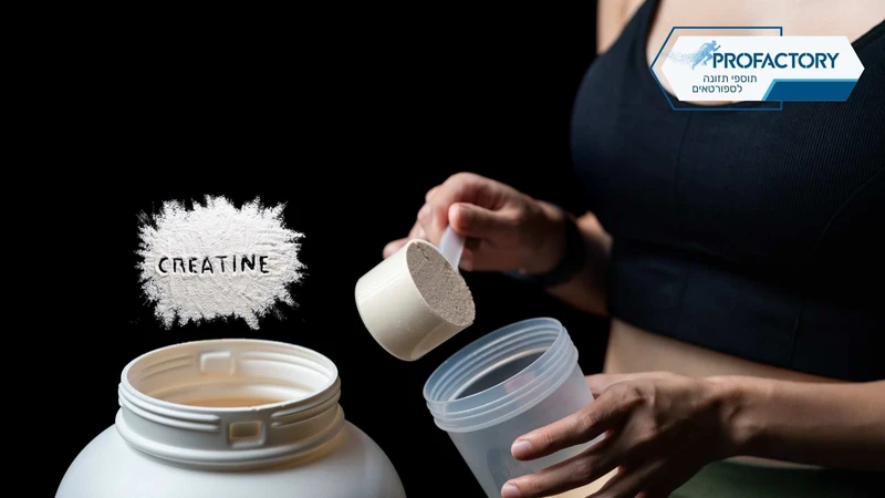 מה קורה כשמוסיפים קריאטין לשגרה? הגוף עונה מהר והשריר מדבר בעד עצמו