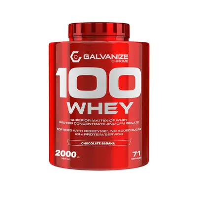 אבקת חלבון גלבנייז | Galvanize 100 Whey